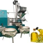 Commercial Oil Press