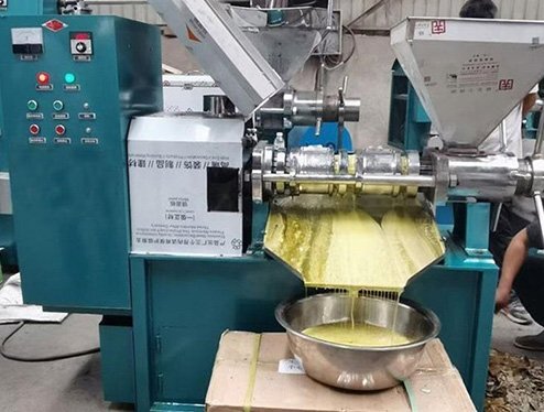 Filipino customer orders Fude Machinery walnut oil press(images 4)