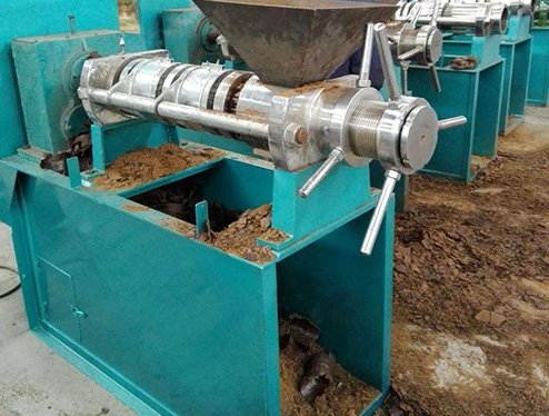 Filipino customer orders Fude Machinery walnut oil press(images 5)
