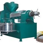 cotton seed oil press