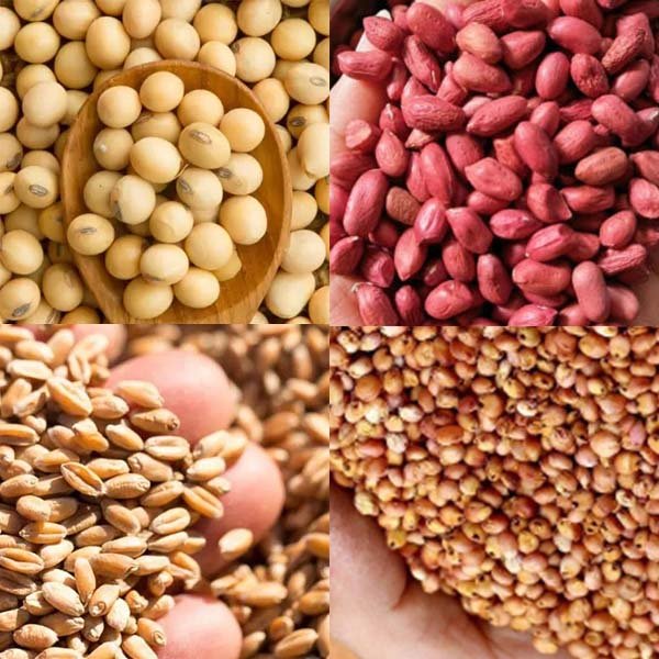 What is the purpose of a grain dryer(images 3)