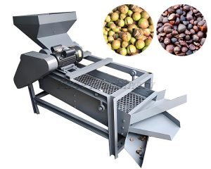 Application scenarios of tea seed peeling machi...