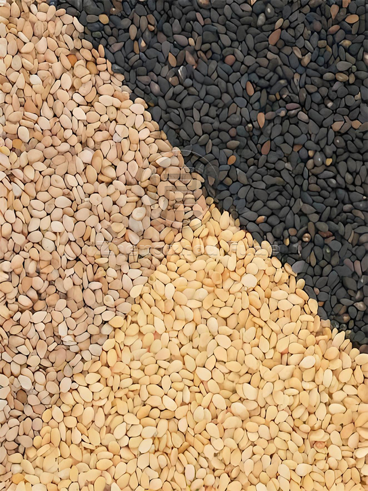 sesame