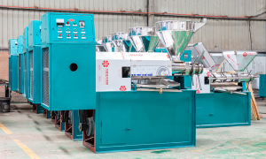 What are the factors that affect the price of o...