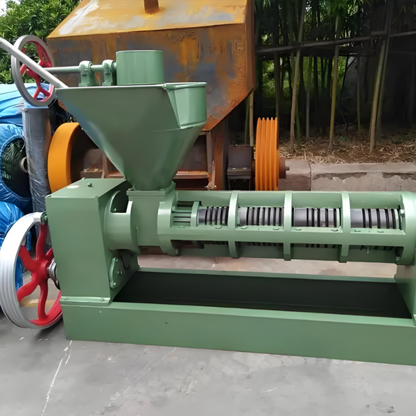 domestic oil press machine