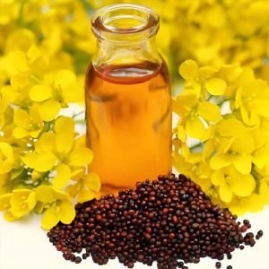 What does an oil press do?