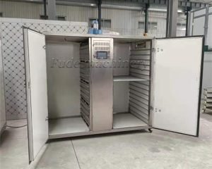 Advantages and disadvantages of box type dryer