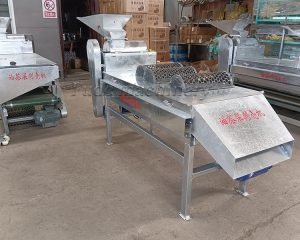 What is a tea seed peeling machine