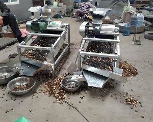 What configurations are required for a tea seed...