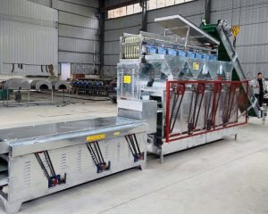 How does the tea seed peeling machine productio...