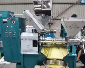 How Do Oil Presses Work? A Guide for Your Business