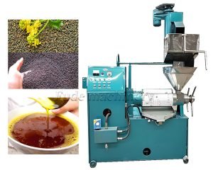How to find an affordable oil press for a small...