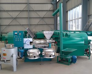 Understanding oilseeds before starting an oil p...