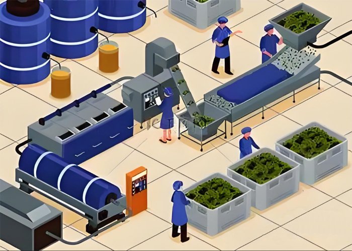 What is the Principle of Extracting Olive Oil? - What is the Principle of Extracting Olive Oil?（images 1）