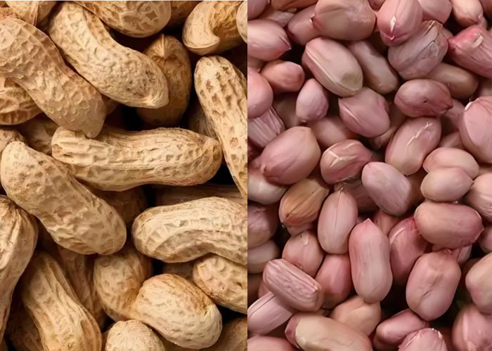 How Can We Ensure High Quality and Safe Peanut Oil?（images 2）