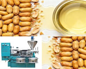 What are the types of peanut oil presses?