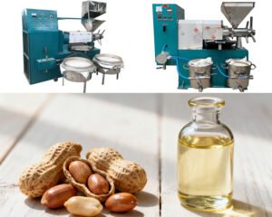 How to Choose the Right Peanut Oil Production L...