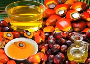 How can I obtain clean palm oil?