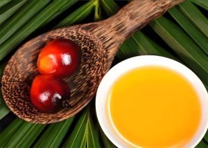 What Affects Palm Oil Yield and Quality Most?