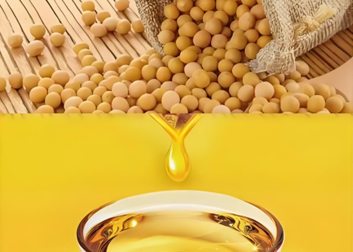 Why Is Soybean Oil So Popular Globally?（images 4）