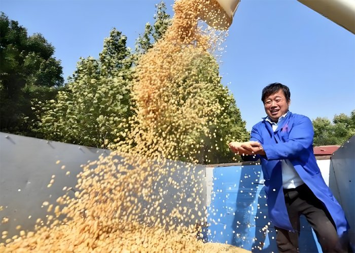 Why Is Soybean Oil So Popular Globally?（images 6）