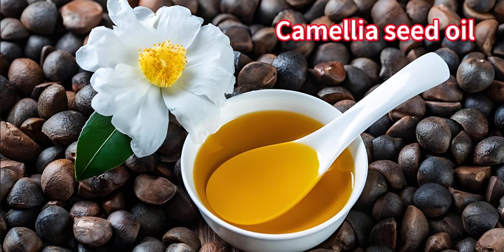 The benefits of camellia oil（images 1）