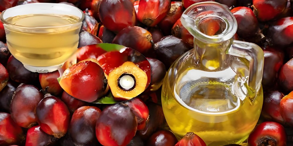 How to build a small palm oil factory（images 1）