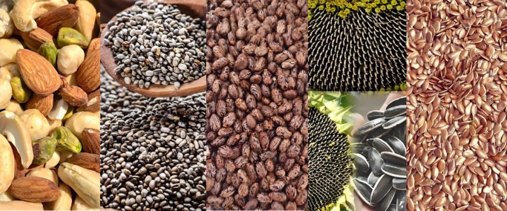 How to Make Vegetable Oil?（images 5）