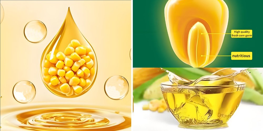 Spiral oil press for processing corn germ oil（images 1）