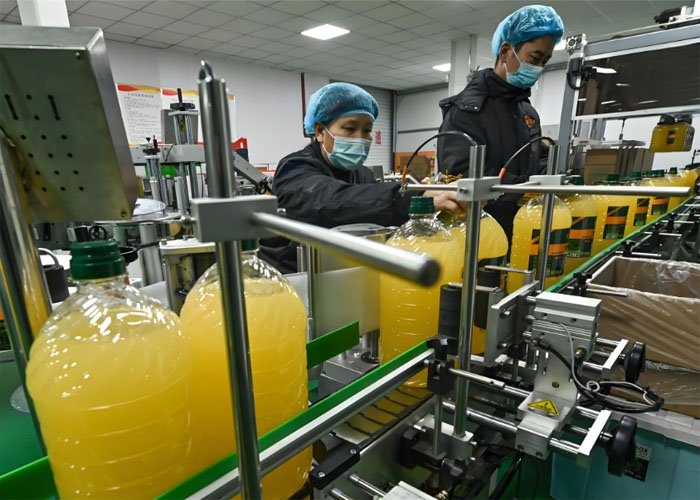 Building Your Own Cooking Oil Manufacturing Plant（images 3）