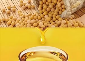 Extraction of Oil from Soya Beans