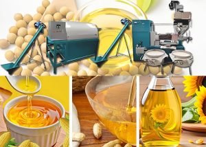 Small oil pressing production line