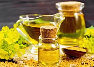 Cost to Set up Mustard Oil Mill Plant