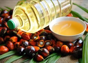 How to build a small palm oil factory