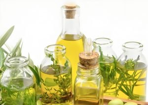 How to Make Vegetable Oil?