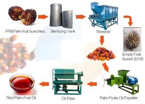 How to Establish a CPO Refinery: A Guide sugges...