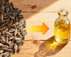 How to Process Sunflower Seed Oil？