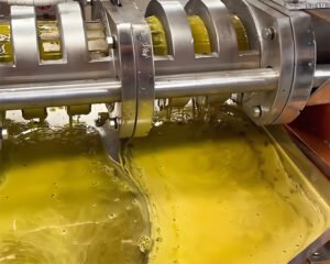 How to keep screw oil presses low-maintenance a...