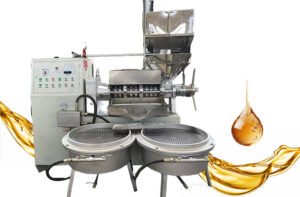 Cold Press Oil Press