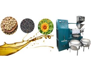 How Does a Cold-Pressed Oil Extractor Work?
