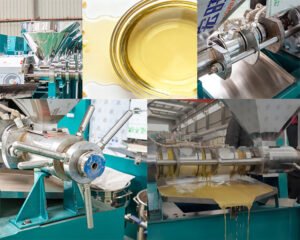 How Does an Oil Press Work?